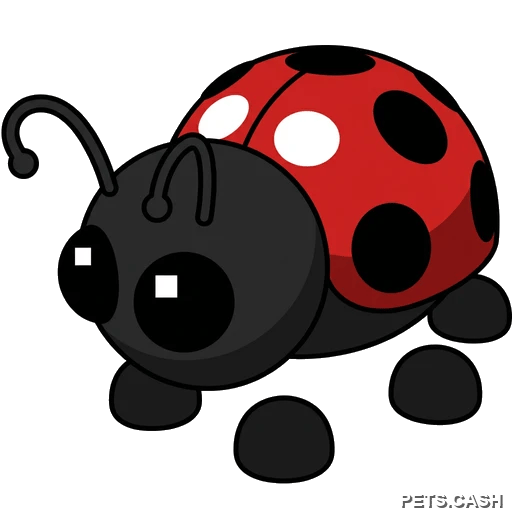 Ladybug