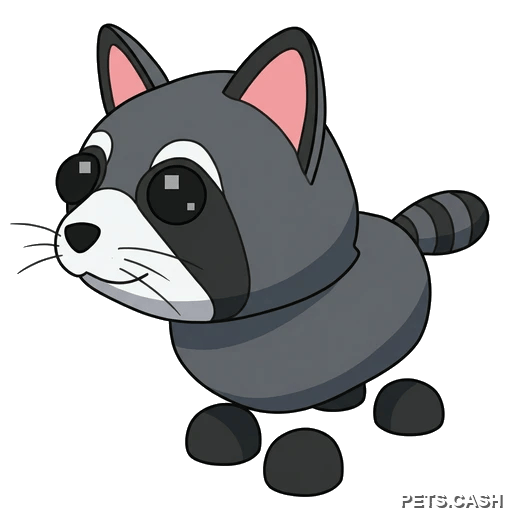 Raccoon