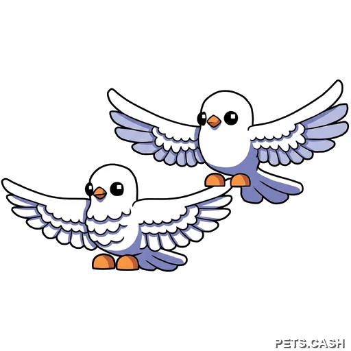 Turtle Doves