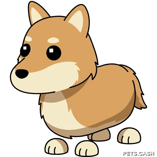 Dingo