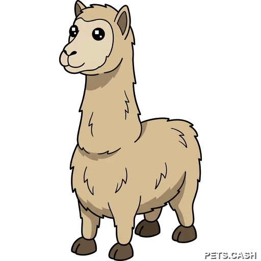 Llama