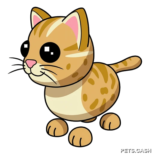 Leopard Cat