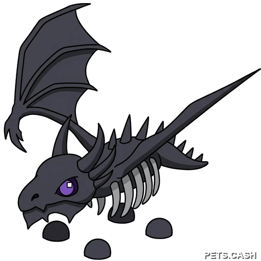 Shadow Dragon