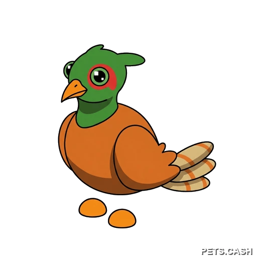 Brown-Chested Pheasant