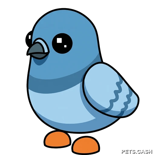 Rock Pigeon