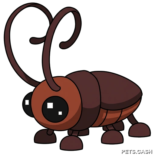 Cockroach