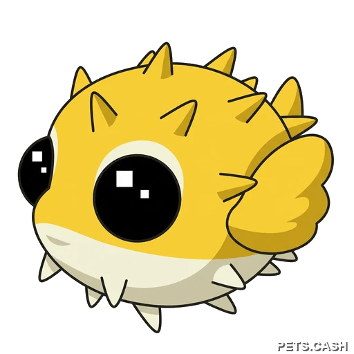 Puffer Fish