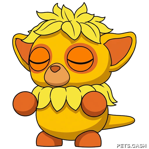 Island Tarsier