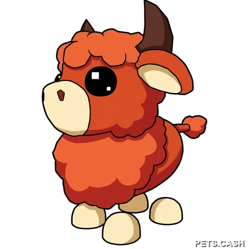 Angus Bull