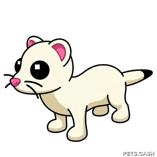 Ermine