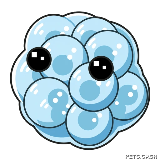 Frogspawn