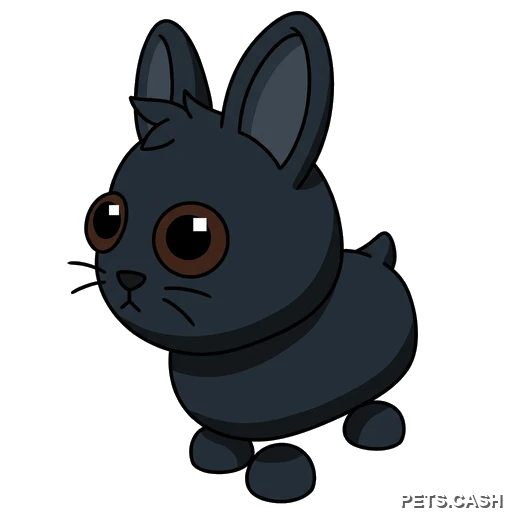 Amami Rabbit