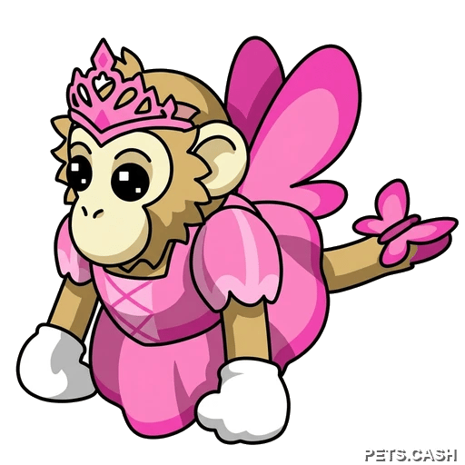 Princess Capuchin Monkey