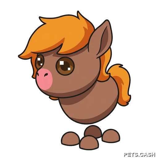 Show Pony