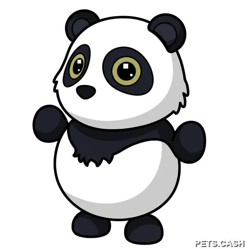 Giant Panda