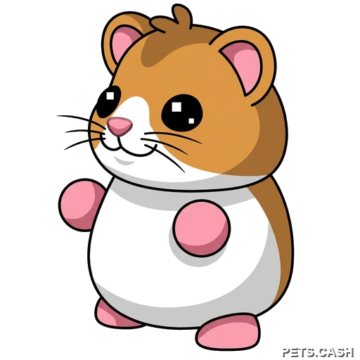 Hamster
