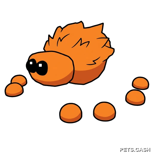 Jumping Spider