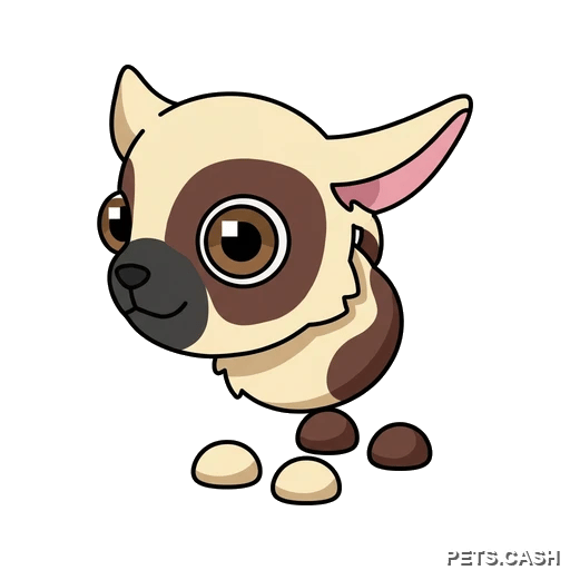 Kid Goat