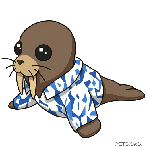 Summer Walrus