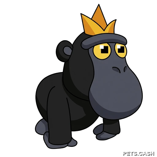Black Macaque