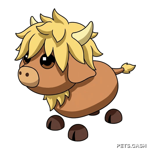Highland Cow