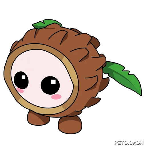 Coconut Friend