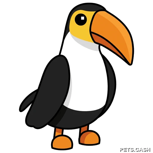 Toucan