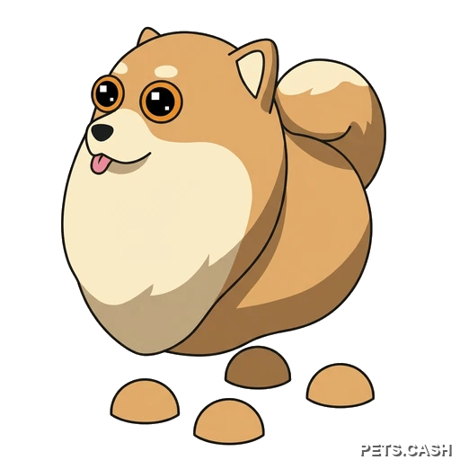 Pomeranian