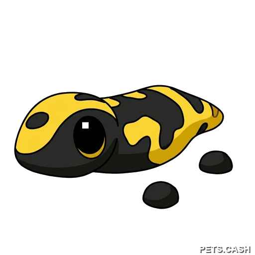 Gila Monster