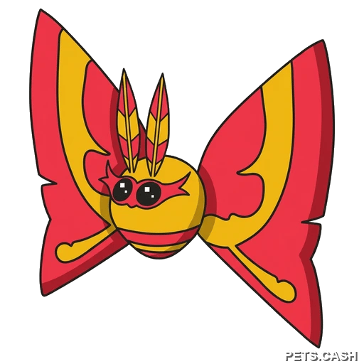 Rosy Maple Moth