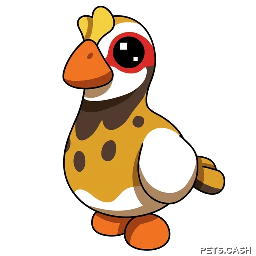 Partridge