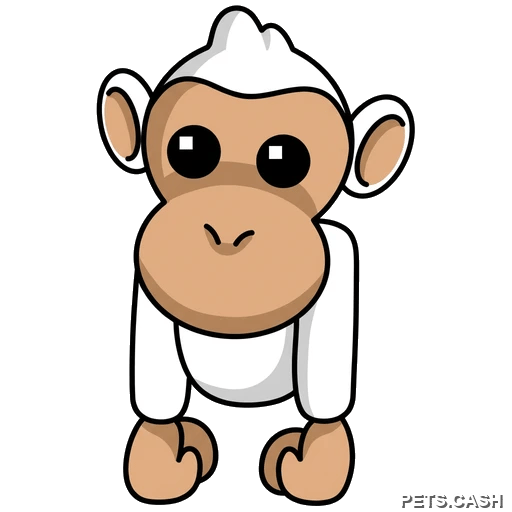Albino Monkey