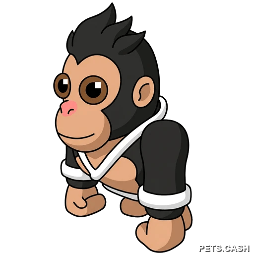 Karate Gorilla