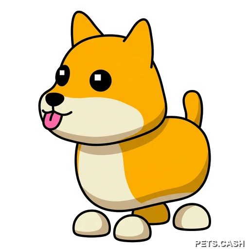 Shiba Inu