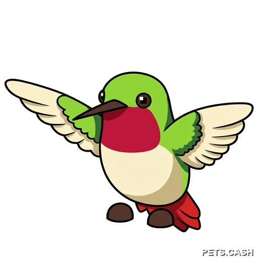 Hummingbird