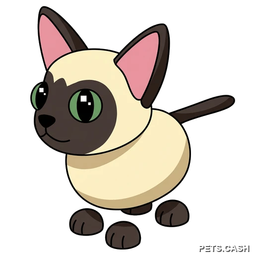Siamese Cat