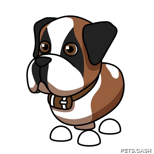 St Bernard