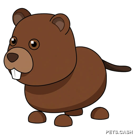 Beaver