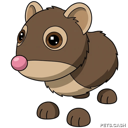 Shrew