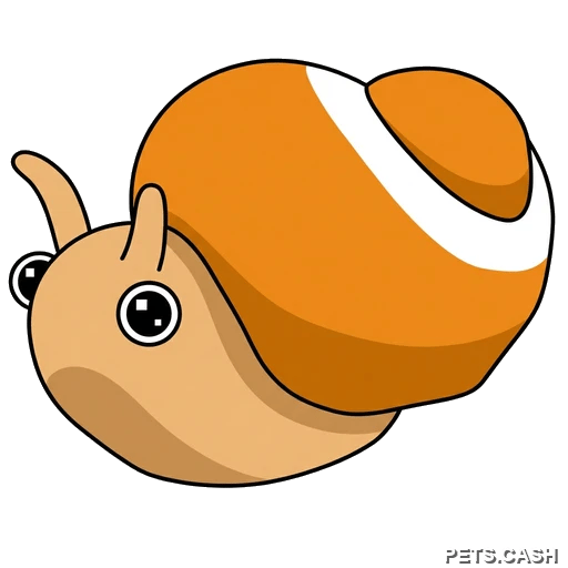 Trapdoor Snail