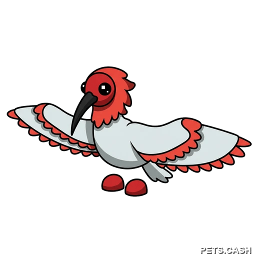 Ibis