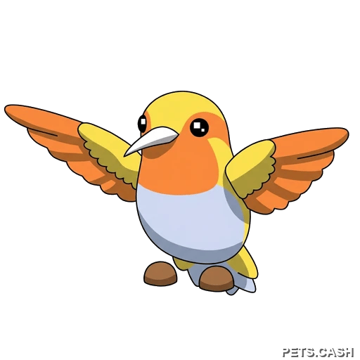Golden Hummingbird