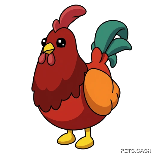 Rooster
