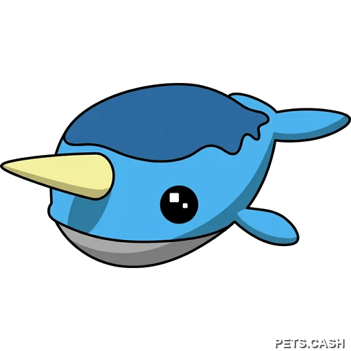 Narwhal