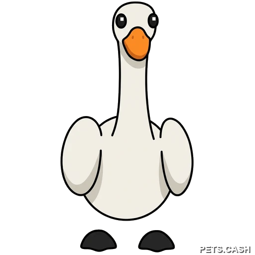 Swan