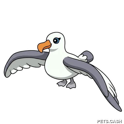Albatross