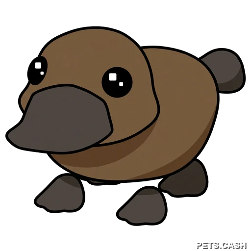 Platypus
