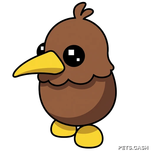 Kiwi