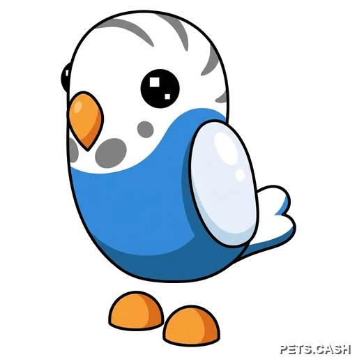 Parakeet