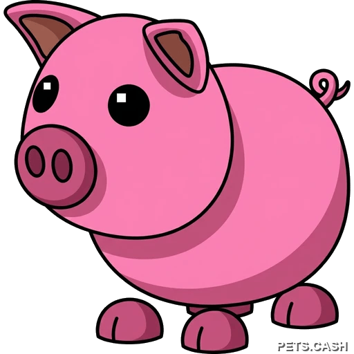Pig